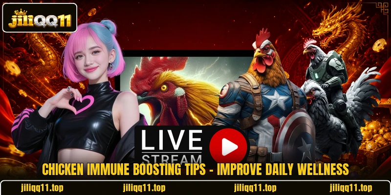 Chicken Immune Boosting Tips - Improve Daily Wellness