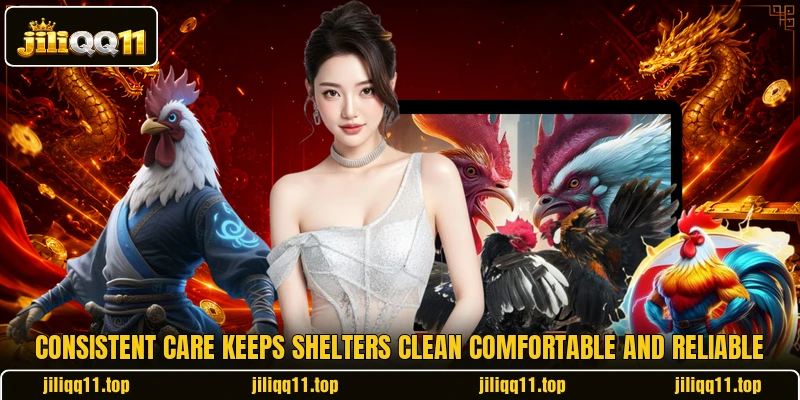 Consistent care keeps shelters clean comfortable and reliable Consistent care keeps shelters clean comfortable and reliable