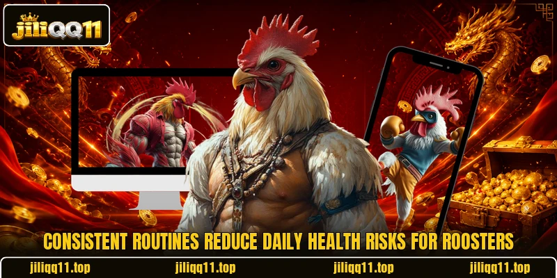 Consistent routines reduce daily health risks for roosters Consistent routines reduce daily health risks for roosters
