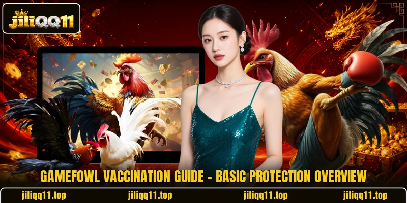 Gamefowl Vaccination Guide - Basic Protection Overview