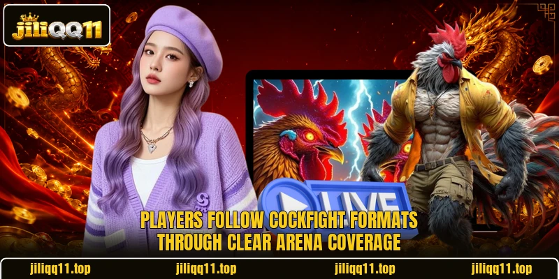 Players follow cockfight formats through clear arena coverage
