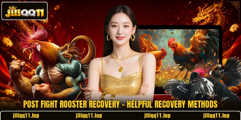 Post Fight Rooster Recovery - Helpful Recovery Methods
