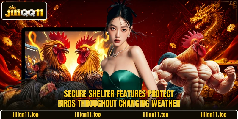 Secure shelter features protect birds throughout changing weather Secure shelter features protect birds throughout changing weather